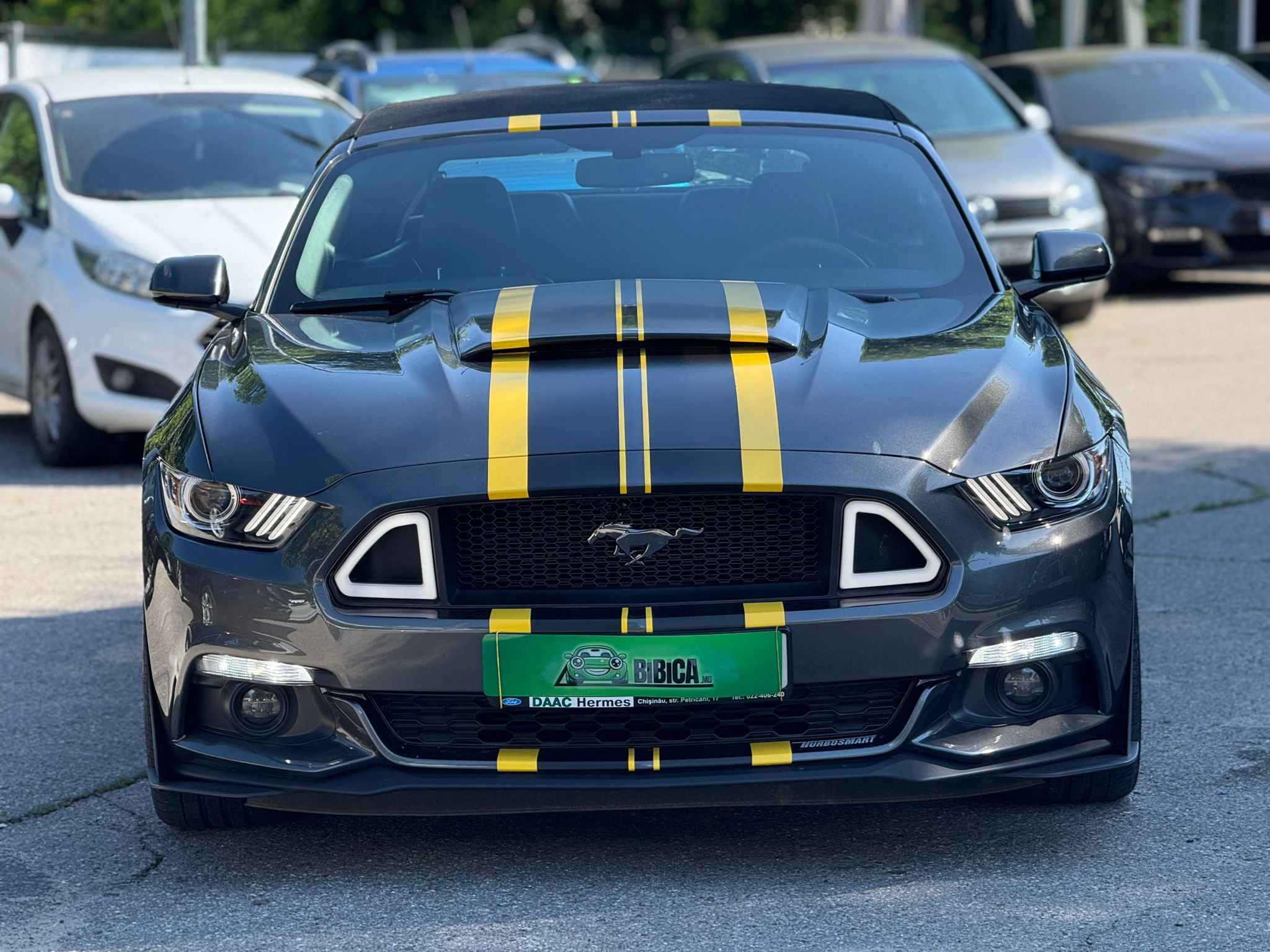 FORD MUSTANG
